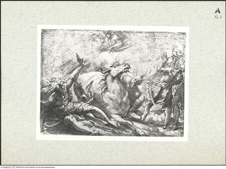 Vorderseite von bh389956_recto