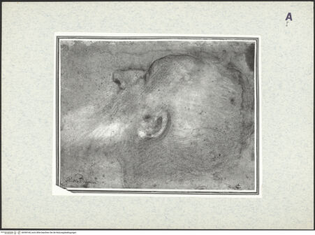 Vorderseite von bh390160_recto