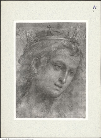 Vorderseite von bh390168_recto