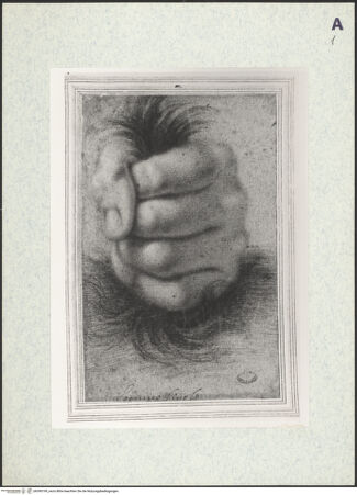 Vorderseite von bh390199_recto