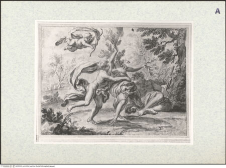 Vorderseite von bh390265_recto