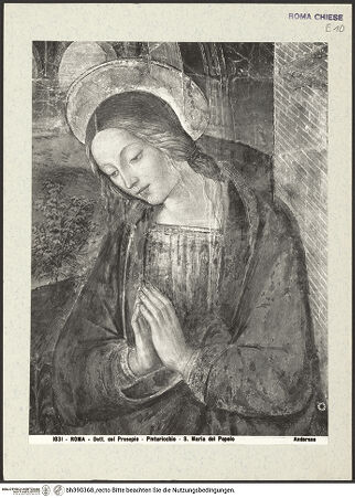 Vorderseite von Alinari [https://www.deutsche-digitale-bibliothek.de/content/lizenzen/rv-ez/] Geburt Christi mit dem heiligen Hieronymus - Detail: Madonna, bh390368_recto. Foto.