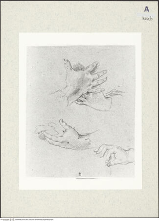 Vorderseite von bh390458_recto