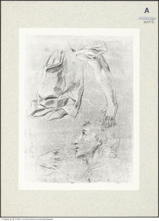 Vorderseite von bh390461_recto