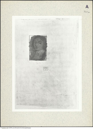 Vorderseite von bh390491_recto