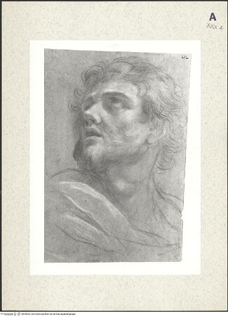 Vorderseite von bh390492_recto