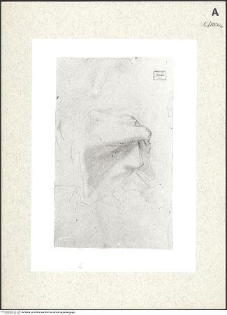 Vorderseite von bh390494_recto