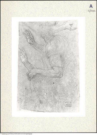 Vorderseite von bh390496_recto