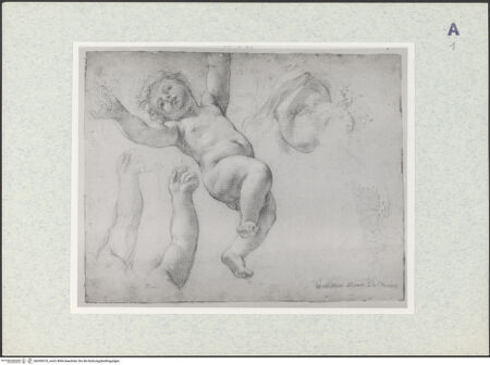 Vorderseite von bh390510_recto