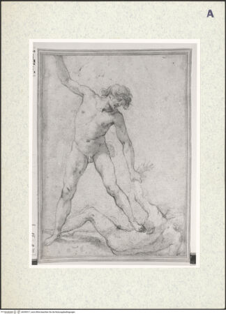 Vorderseite von bh390517_recto