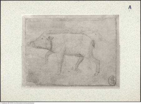 Vorderseite von bh390521_recto