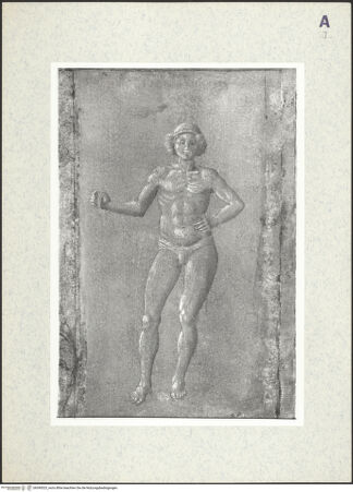 Vorderseite von bh390523_recto