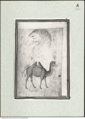 Vorderseite von bh390530_recto