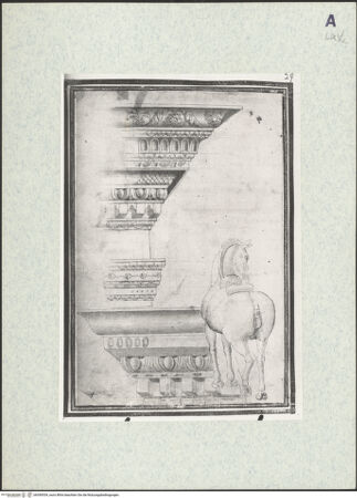 Vorderseite von bh390539_recto