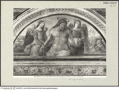 Vorderseite von Alinari [https://www.deutsche-digitale-bibliothek.de/content/lizenzen/rv-ez/] Grabmal des Giovanni Basso della Rovere (+1483)Lünettenbild: Christus im Grab, von Engeln betrauert - Gesamtaufnahme, bh390731_recto. Foto.