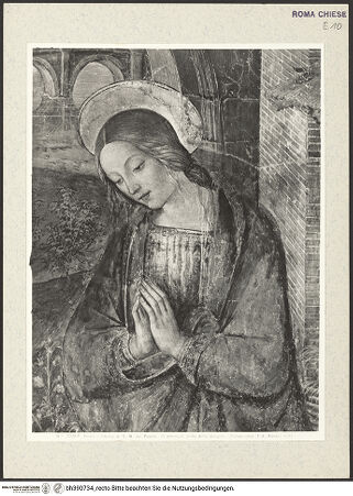 Vorderseite von Alinari [https://www.deutsche-digitale-bibliothek.de/content/lizenzen/rv-ez/] Geburt Christi mit dem heiligen Hieronymus - Detail: Madonna, bh390734_recto. Foto.