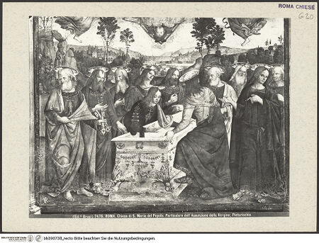 Vorderseite von Alinari [https://www.deutsche-digitale-bibliothek.de/content/lizenzen/rv-ez/] Sockelzone und Himmelfahrt Mariens Die Himmelfahrt Mariens - Detail: Die Apostel, um den leeren Sarkophag versammelt, bh390738_recto. Foto.