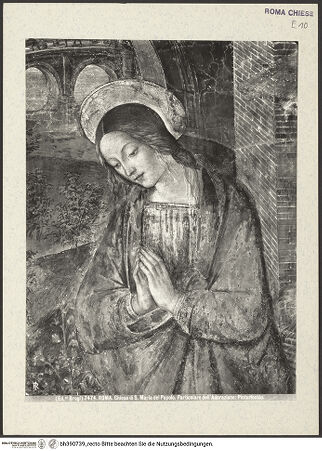 Vorderseite von Alinari [https://www.deutsche-digitale-bibliothek.de/content/lizenzen/rv-ez/] Geburt Christi mit dem heiligen Hieronymus - Detail: Madonna, bh390739_recto. Foto.