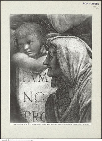 Vorderseite von Alinari [https://www.deutsche-digitale-bibliothek.de/content/lizenzen/rv-ez/] Sibyllen und EngelTiburtinische Sibylle - Detail: Gesicht, bh390751_recto. Foto.