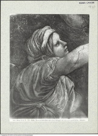 Vorderseite von Alinari [https://www.deutsche-digitale-bibliothek.de/content/lizenzen/rv-ez/] Kuppelfresken: Grotesken mit Wappen von Julius II. della Rovere, und fünf Propheten - Gesamtaufnahme, bh390753_recto. Foto.