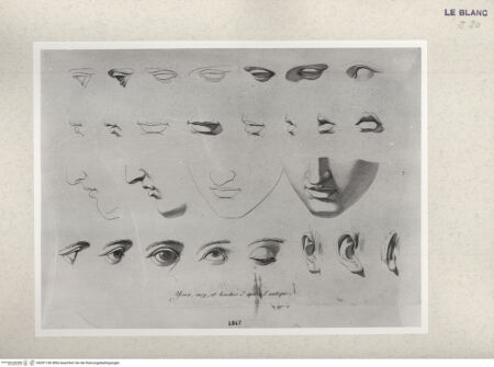 Vorderseite von Istituto Nazionale per la Grafica [http://creativecommons.org/publicdomain/mark/1.0/] Giovanni Volpato - Raphael Morghen, "Principes du dessin...", Roma 1786Augen, Nasen, Münder (Bl 1) - , bh391160. Foto.