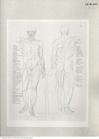 Vorderseite von Istituto Nazionale per la Grafica [http://creativecommons.org/publicdomain/mark/1.0/] Giovanni Volpato - Raphael Morghen, "Principes du dessin...", Roma 1786Tabelle der Muskulatur des männlichen Körpers (Bl 36) - , bh391186. Foto.