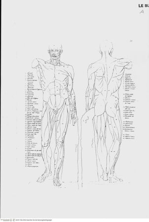 Vorderseite von bh391186x