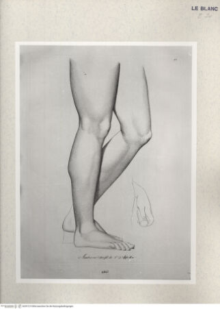 Vorderseite von Istituto Nazionale per la Grafica [http://creativecommons.org/publicdomain/mark/1.0/] Giovanni Volpato - Raphael Morghen, "Principes du dessin...", Roma 1786Beine des Apoll aus den Uffizien (Bl 13) - , bh391219. Foto.