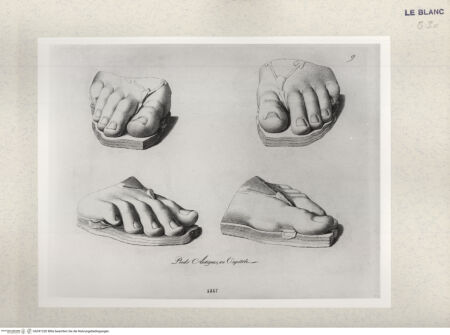 Vorderseite von Istituto Nazionale per la Grafica [http://creativecommons.org/publicdomain/mark/1.0/] Giovanni Volpato - Raphael Morghen, "Principes du dessin...", Roma 1786Füsse nach der Antike, vom Kapitol (Bl 9) - , bh391220. Foto.