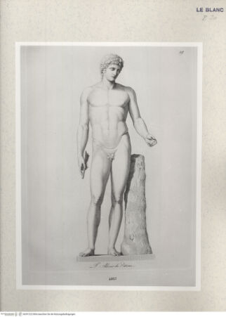 Vorderseite von Istituto Nazionale per la Grafica [http://creativecommons.org/publicdomain/mark/1.0/] Giovanni Volpato - Raphael Morghen, "Principes du dessin...", Roma 1786Der Adonis des Vatikan (Bl 19) - , bh391222. Foto.