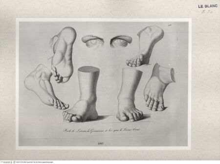 Vorderseite von Istituto Nazionale per la Grafica [http://creativecommons.org/publicdomain/mark/1.0/] Giovanni Volpato - Raphael Morghen, "Principes du dessin...", Roma 1786Die Füsse der Ringer und des Germanicus, Augen des Lucius Verus (Bl 18) - , bh391224. Foto.