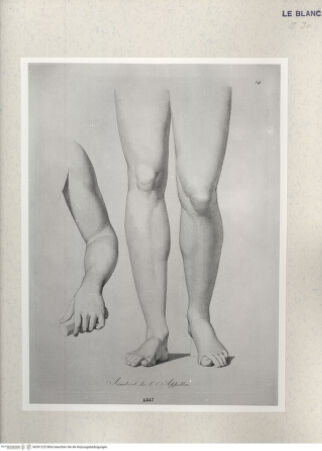 Vorderseite von Istituto Nazionale per la Grafica [http://creativecommons.org/publicdomain/mark/1.0/] Giovanni Volpato - Raphael Morghen, "Principes du dessin...", Roma 1786Beine des Apoll aus den Uffizien (Bl 14) - , bh391225. Foto.