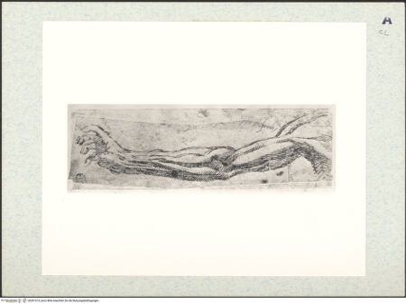 Vorderseite von bh391414_recto