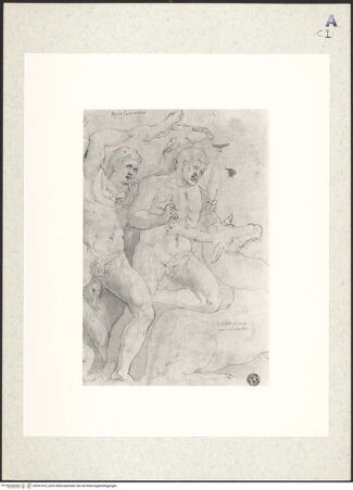 Vorderseite von bh391416_recto