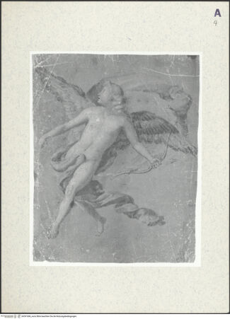 Vorderseite von bh391686_recto