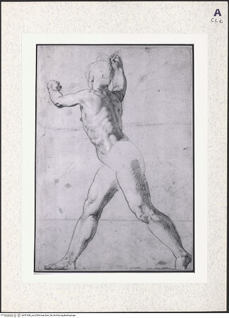 Vorderseite von bh391699_recto