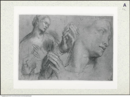 Vorderseite von bh391742_recto