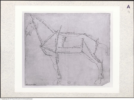 Vorderseite von bh391773_recto