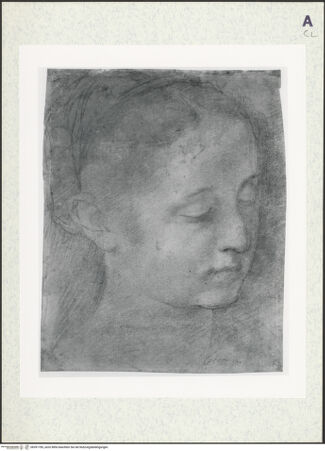 Vorderseite von bh391785_recto