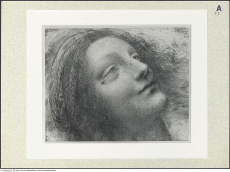 Vorderseite von bh391824_recto