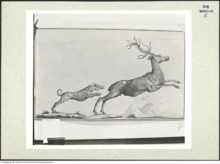 Vorderseite von bh391968_recto