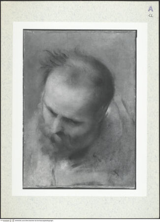 Vorderseite von bh392030_recto