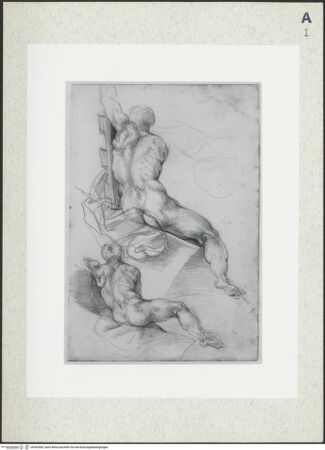 Vorderseite von bh392056_recto