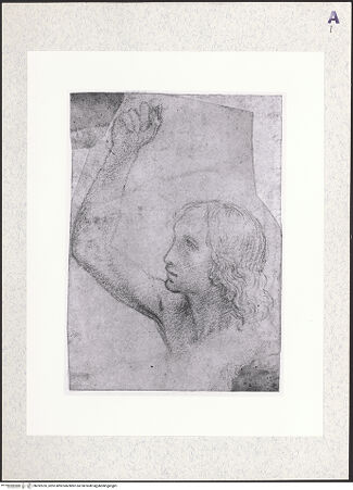 Vorderseite von bh392235_recto