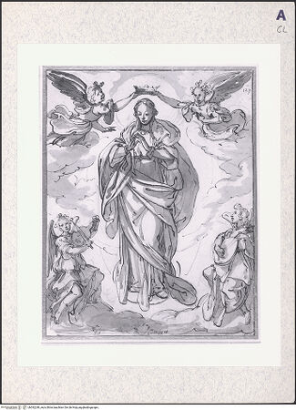 Vorderseite von bh392248_recto