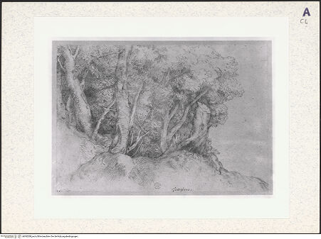 Vorderseite von bh392280_recto