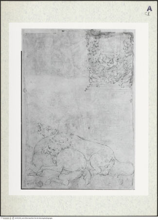 Vorderseite von bh392283_recto