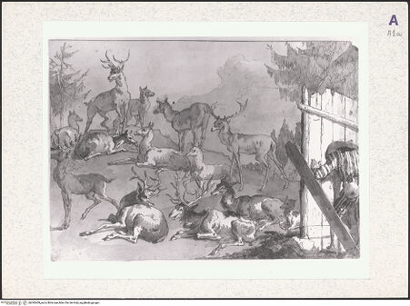 Vorderseite von bh392409_recto