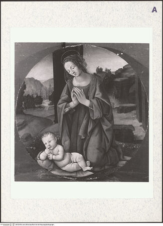 Vorderseite von bh392456_recto