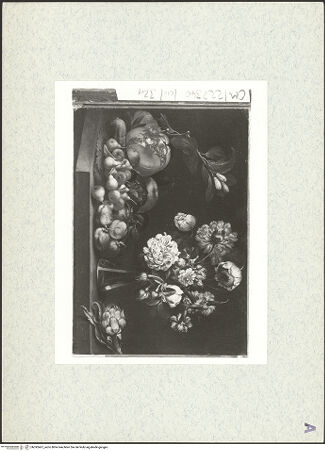 Vorderseite von bh392467_recto